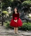 Red Velvet Ombre Dress