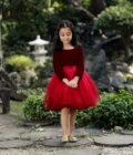 Red Velvet Ombre Dress - Image 2