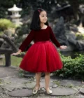 Red Velvet Ombre Dress - Image 4