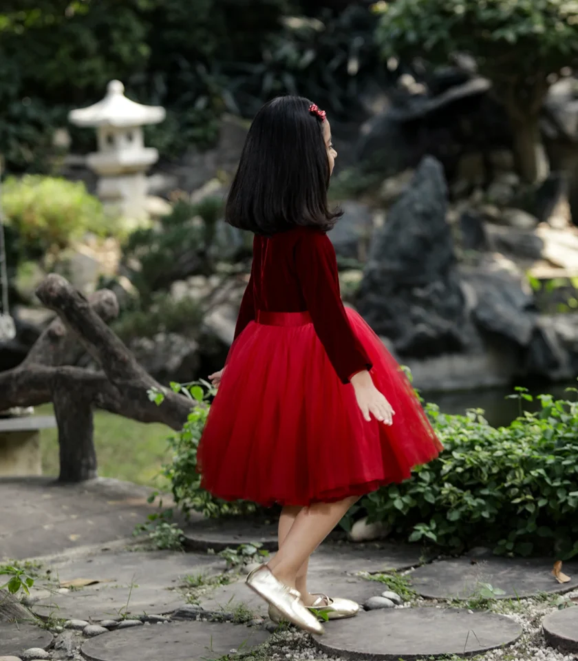 Red Velvet Ombre Dress - Image 5
