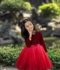 Red Velvet Ombre Dress - Image 6
