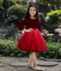 Red Velvet Ombre Dress - Image 7