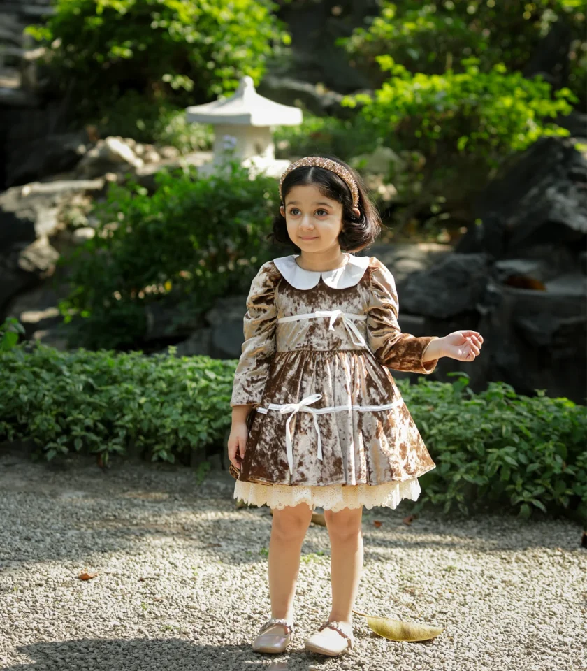 Velvet Golden Collar Dress - Image 2
