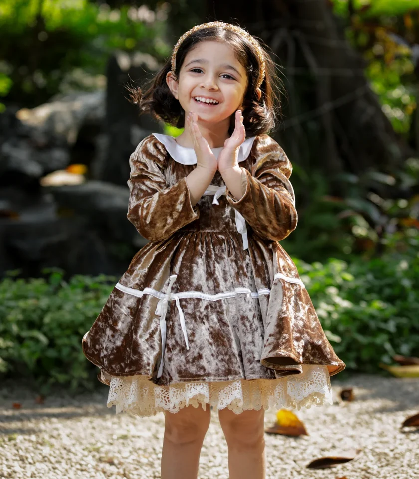 Velvet Golden Collar Dress