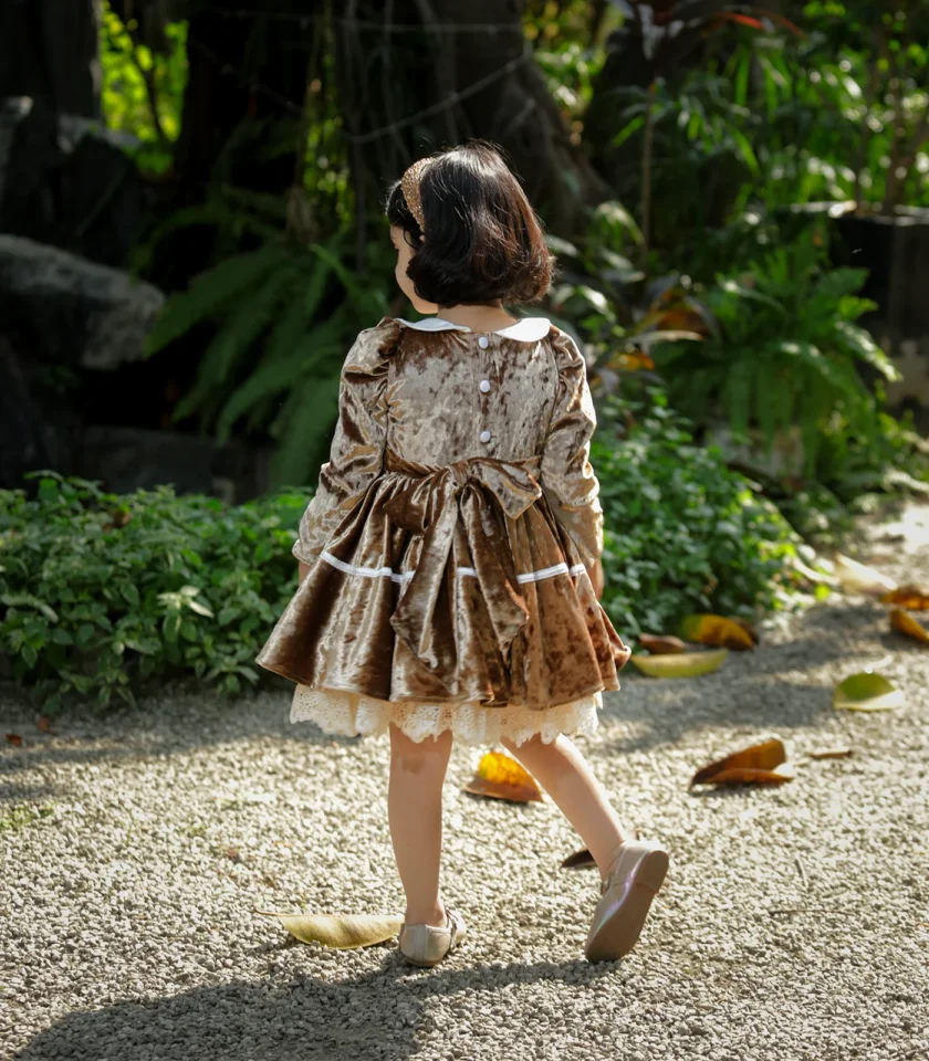Velvet Golden Collar Dress - Image 3