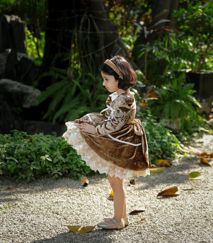 Velvet Golden Collar Dress - Image 4