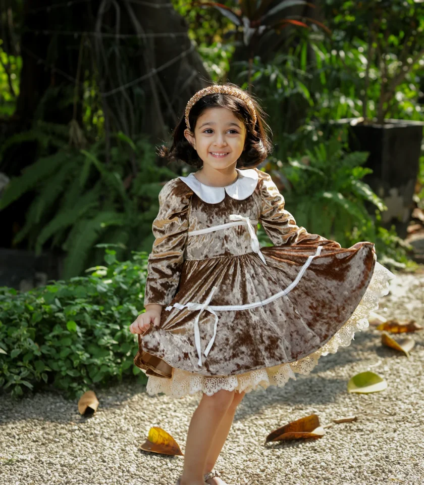 Velvet Golden Collar Dress - Image 5