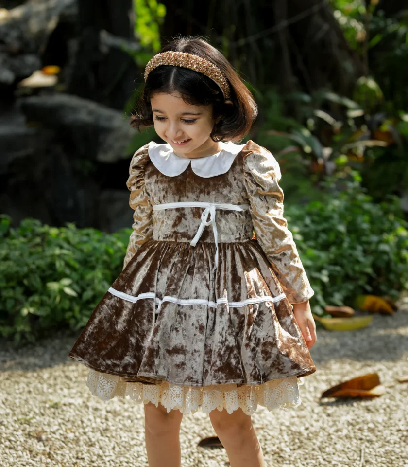 Velvet Golden Collar Dress - Image 6