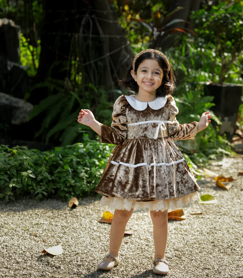 Velvet Golden Collar Dress - Image 7