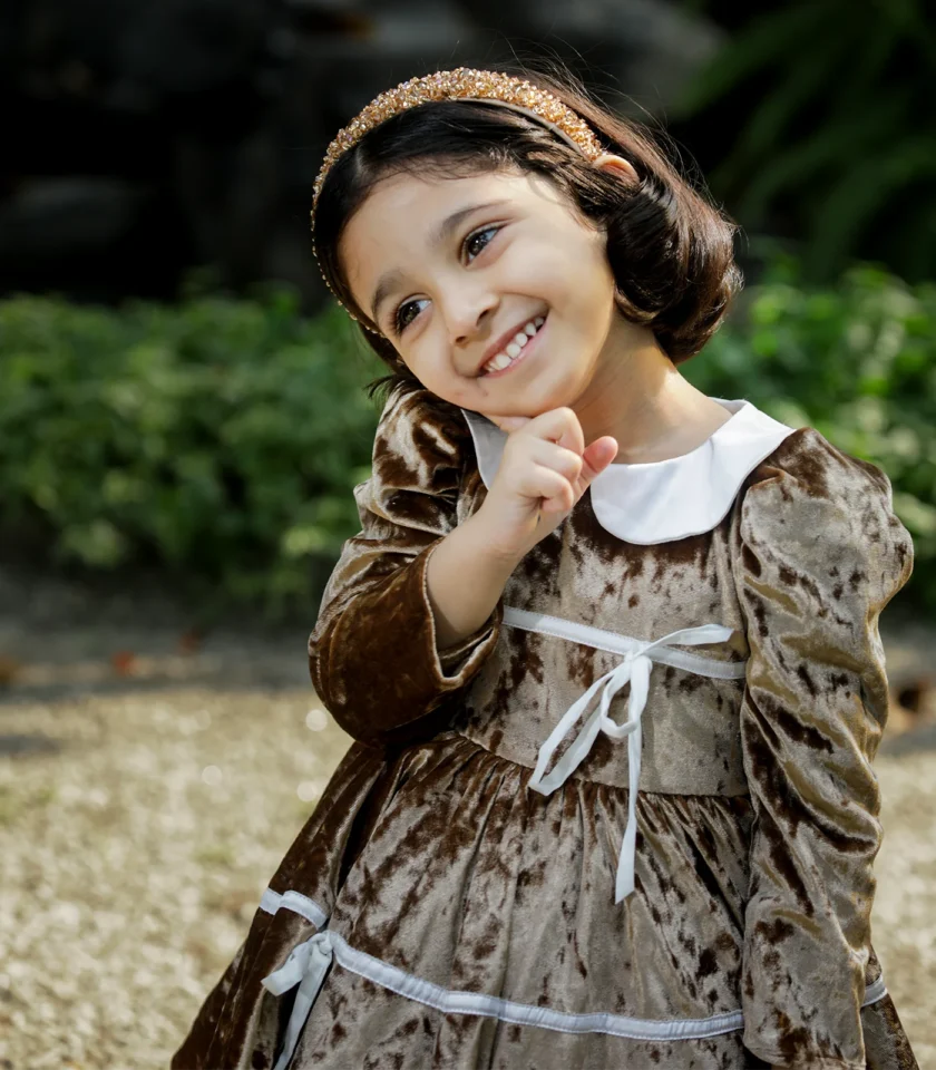 Velvet Golden Collar Dress - Image 8