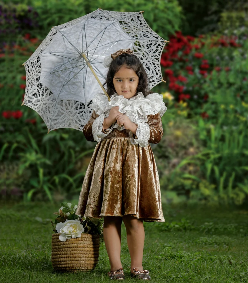 Golden Lace Collar Dress