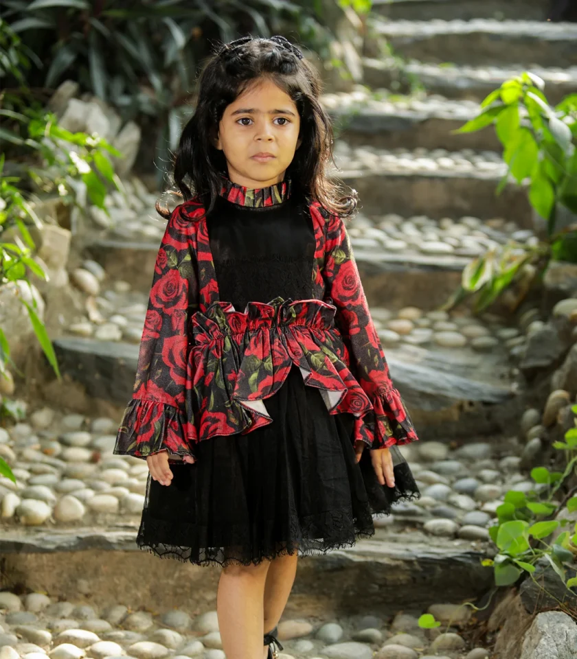 Printed Red Rose Dress - Image 4